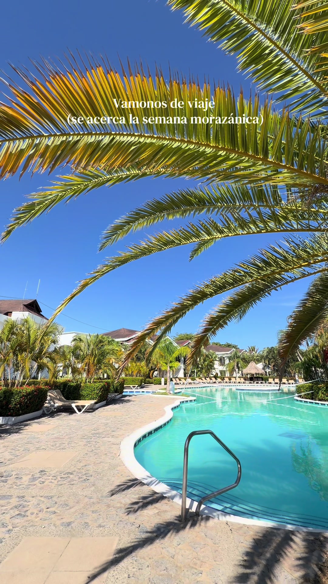 Hotel Palma Real
